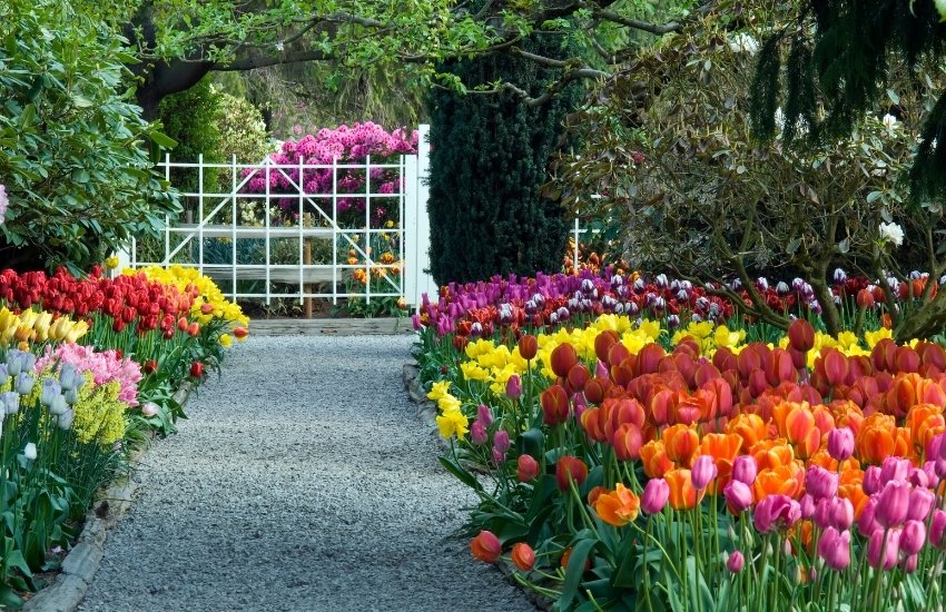 Visit the Corbett Gardens