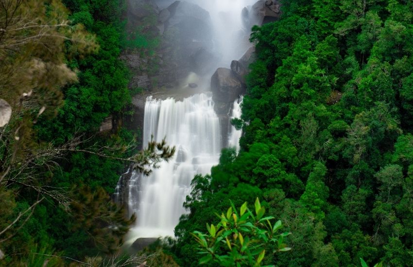Beautiful flowing River in Fitzroy Falls in Bowral NSW Australia